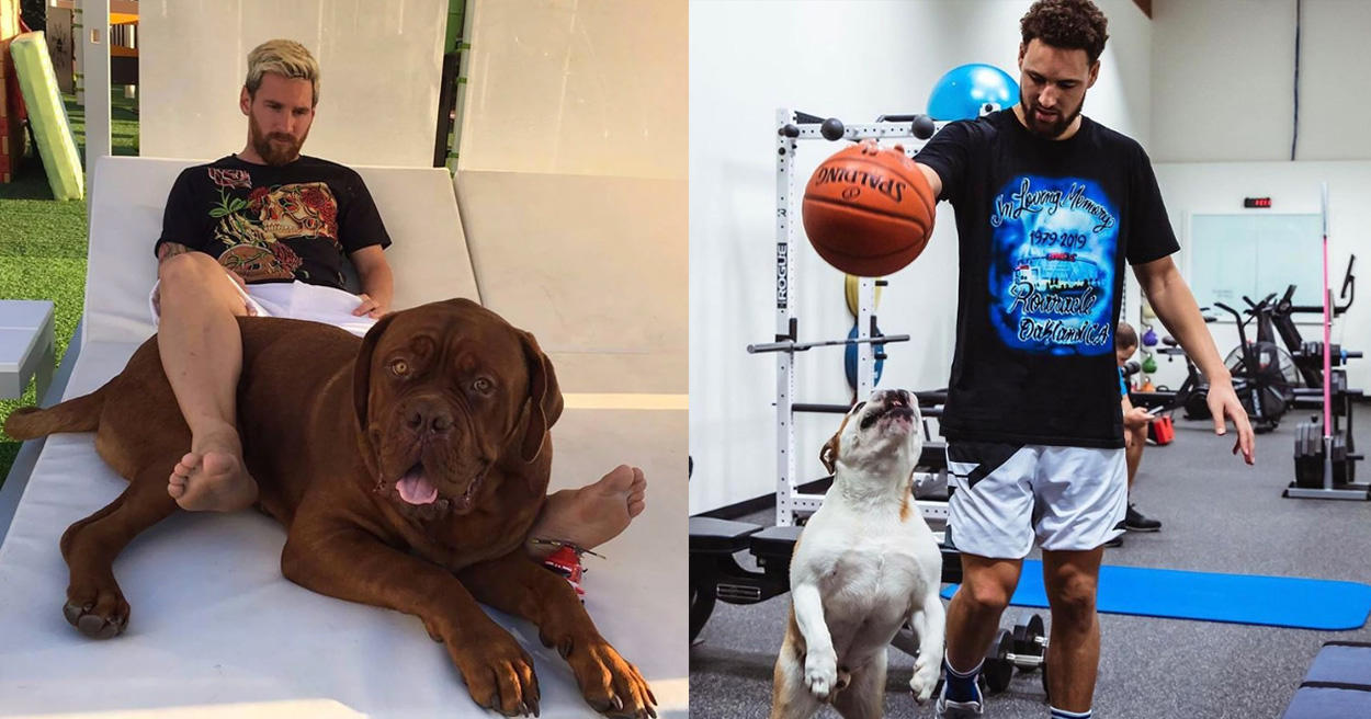 梅西、K湯練球都靠牠？球星愛寵盤點，NBA球星都愛跟狗狗打籃球！