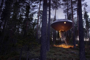 太誇張！這竟然是樹屋？科幻系頂級「樹屋酒店」給你全新的體驗！
