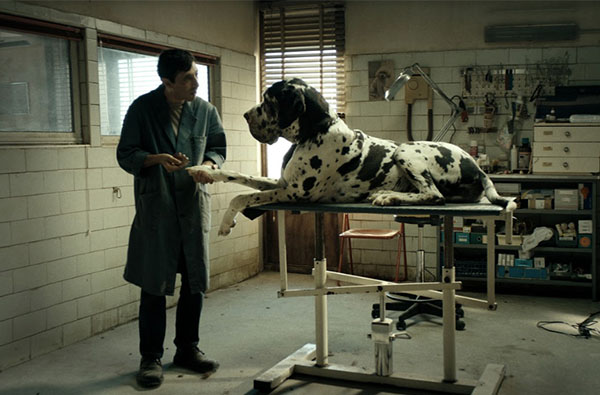 【MF放映室】 《狗奴人生》本屆坎城影展最會演的狗與人之作