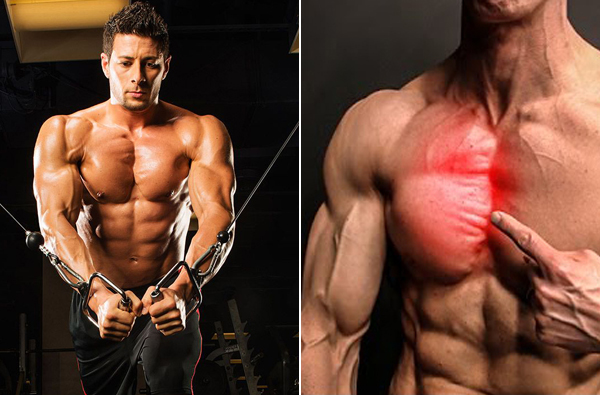 【型男健身】內側胸肌總是很難練？這5個動作讓你操爆出厚實胸膛！