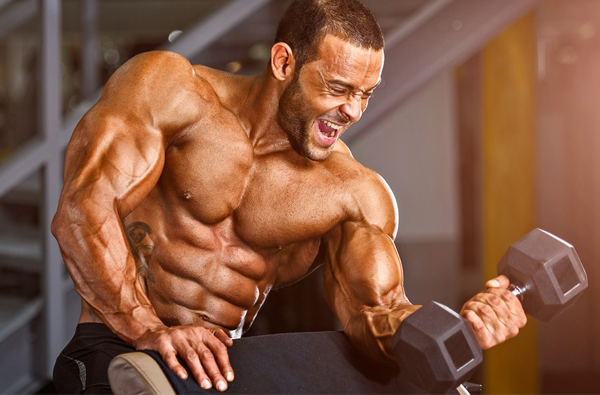【型男健身】鍛鍊結實二頭肌！26個動作讓你操爆出健壯手臂！（上）