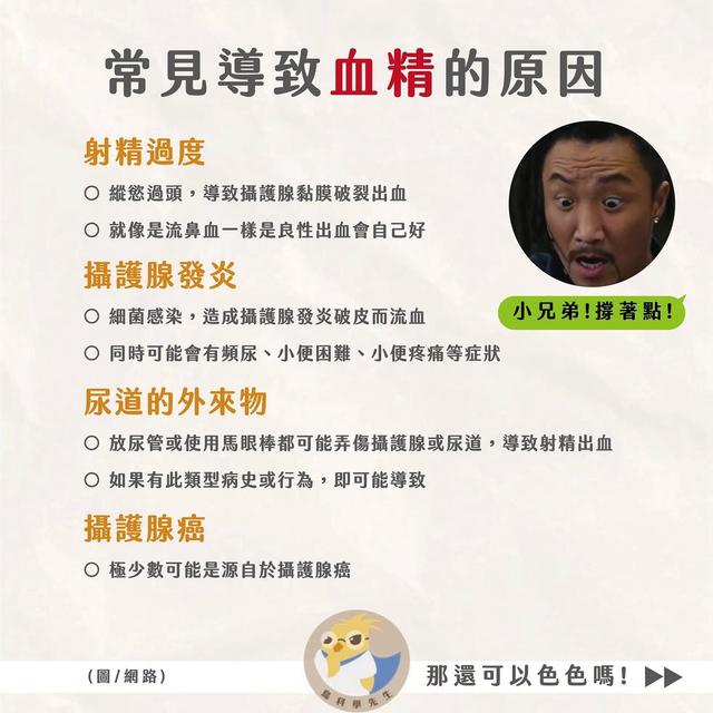 「鳥科學先生」顧芳瑜醫師整理血精形成原因