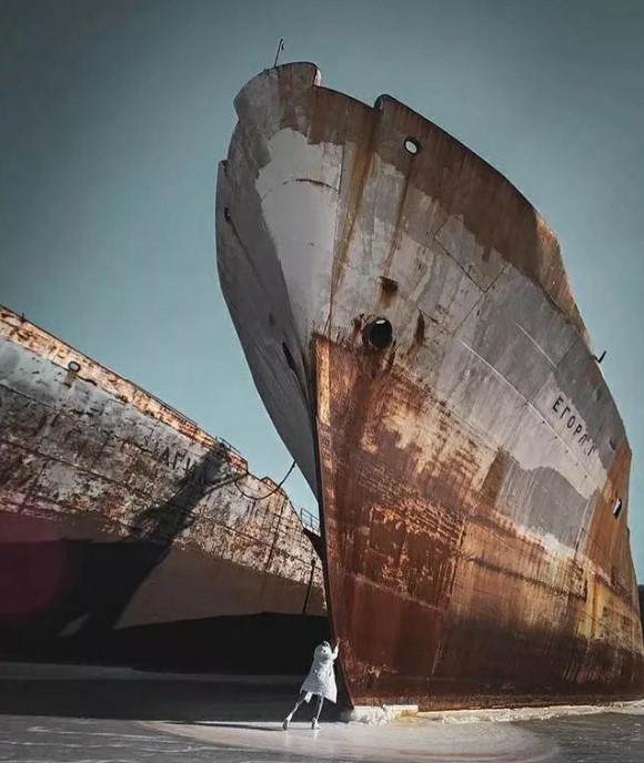 密集恐懼症不稀奇?抖音、IG上流行「巨物恐懼症」挑戰:膽小慎入!